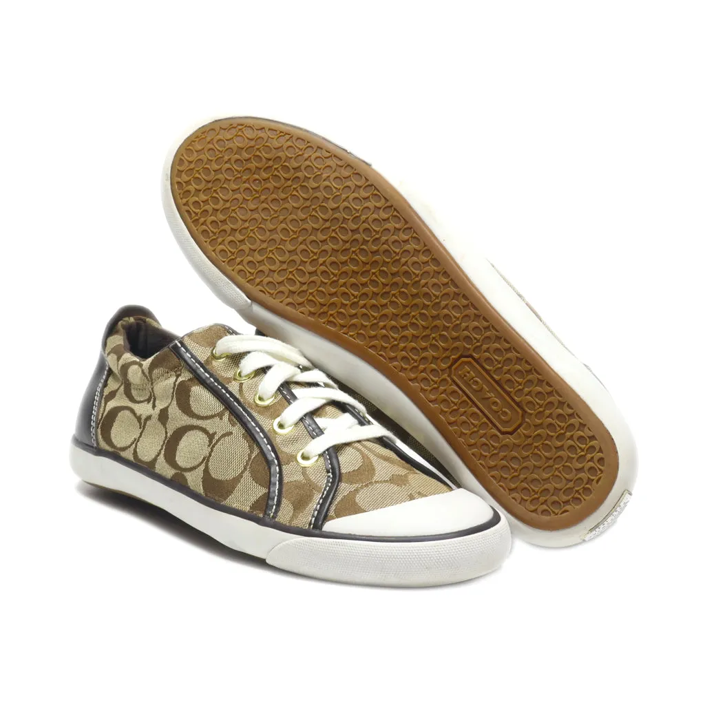 Coach Low-Top Sneakers Canvas Brown Colour For Women