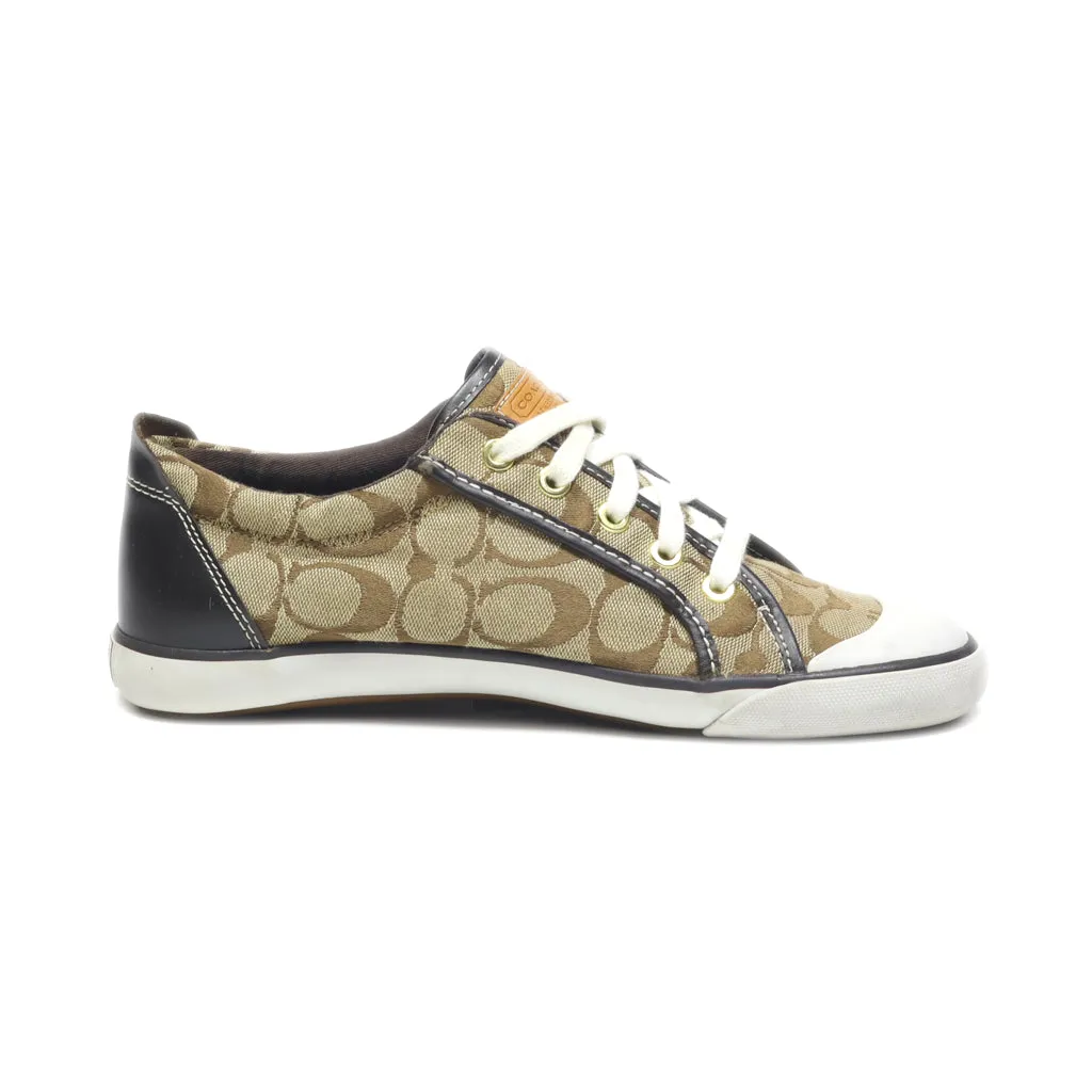 Coach Low-Top Sneakers Canvas Brown Colour For Women