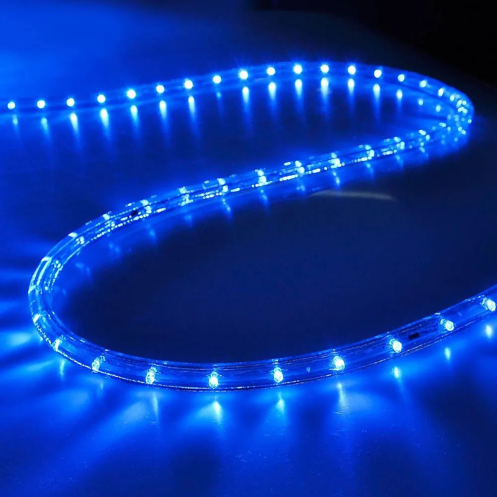 DELight 150' LED Rope Light