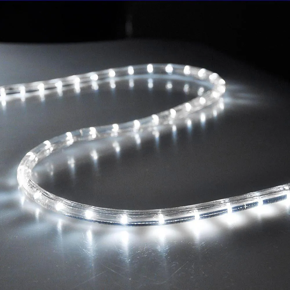 DELight 150' LED Rope Light