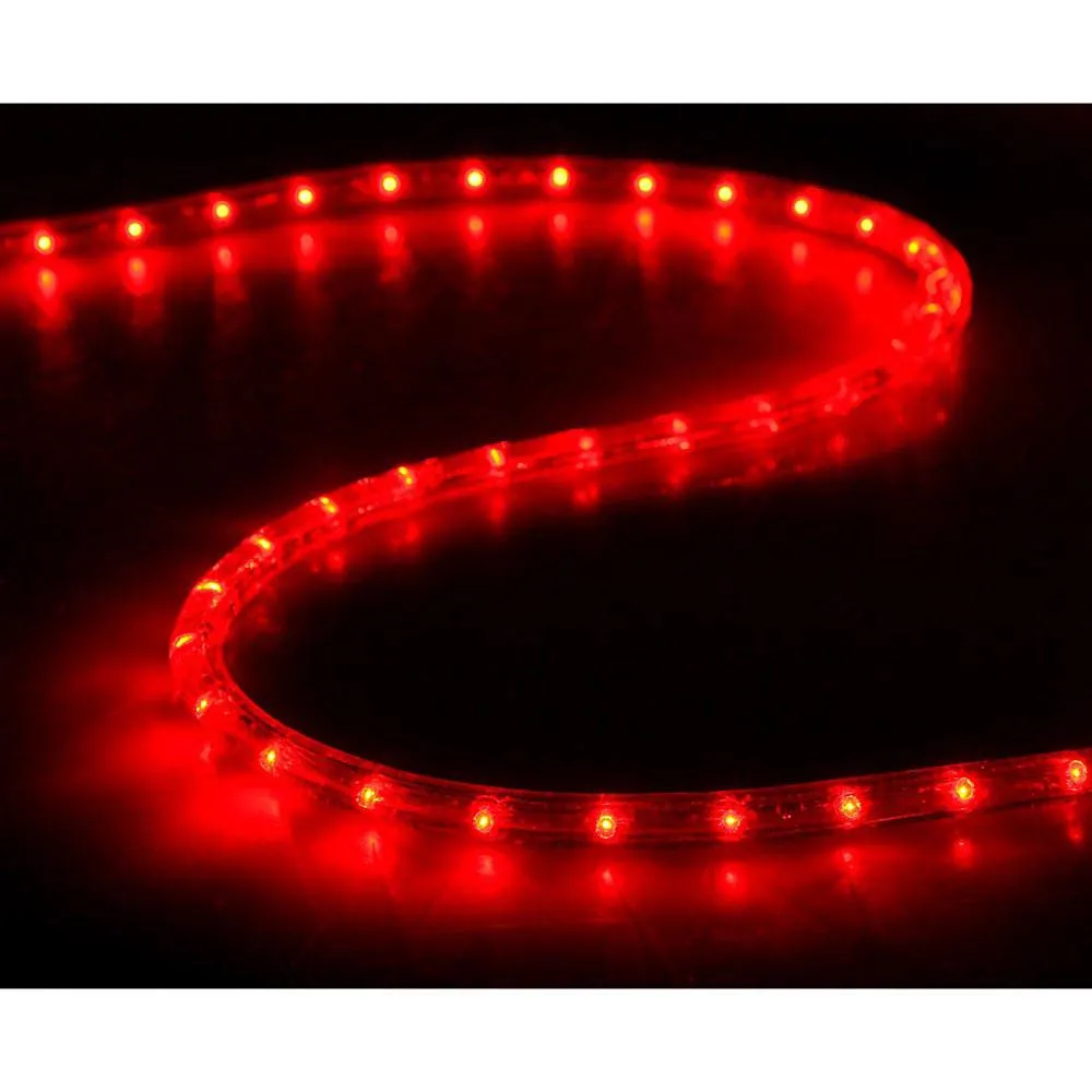 DELight 150' LED Rope Light