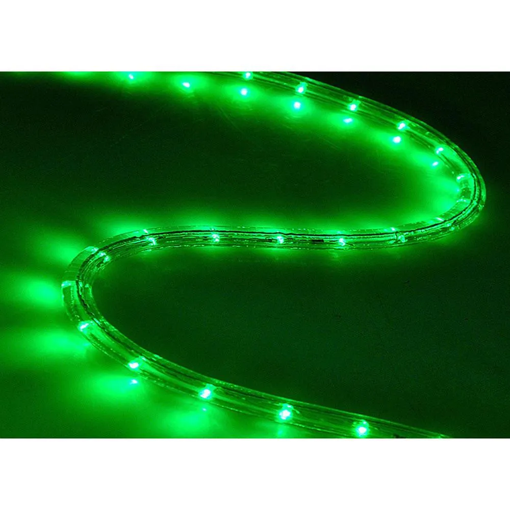 DELight 150' LED Rope Light