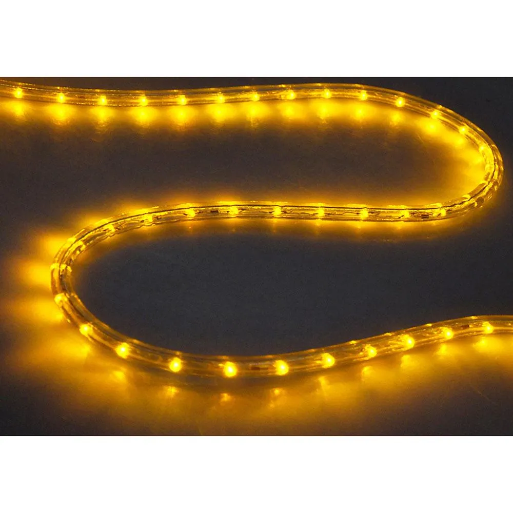 DELight 150' LED Rope Light