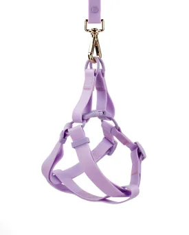 Lavender Waterproof Step-In Dog Harness