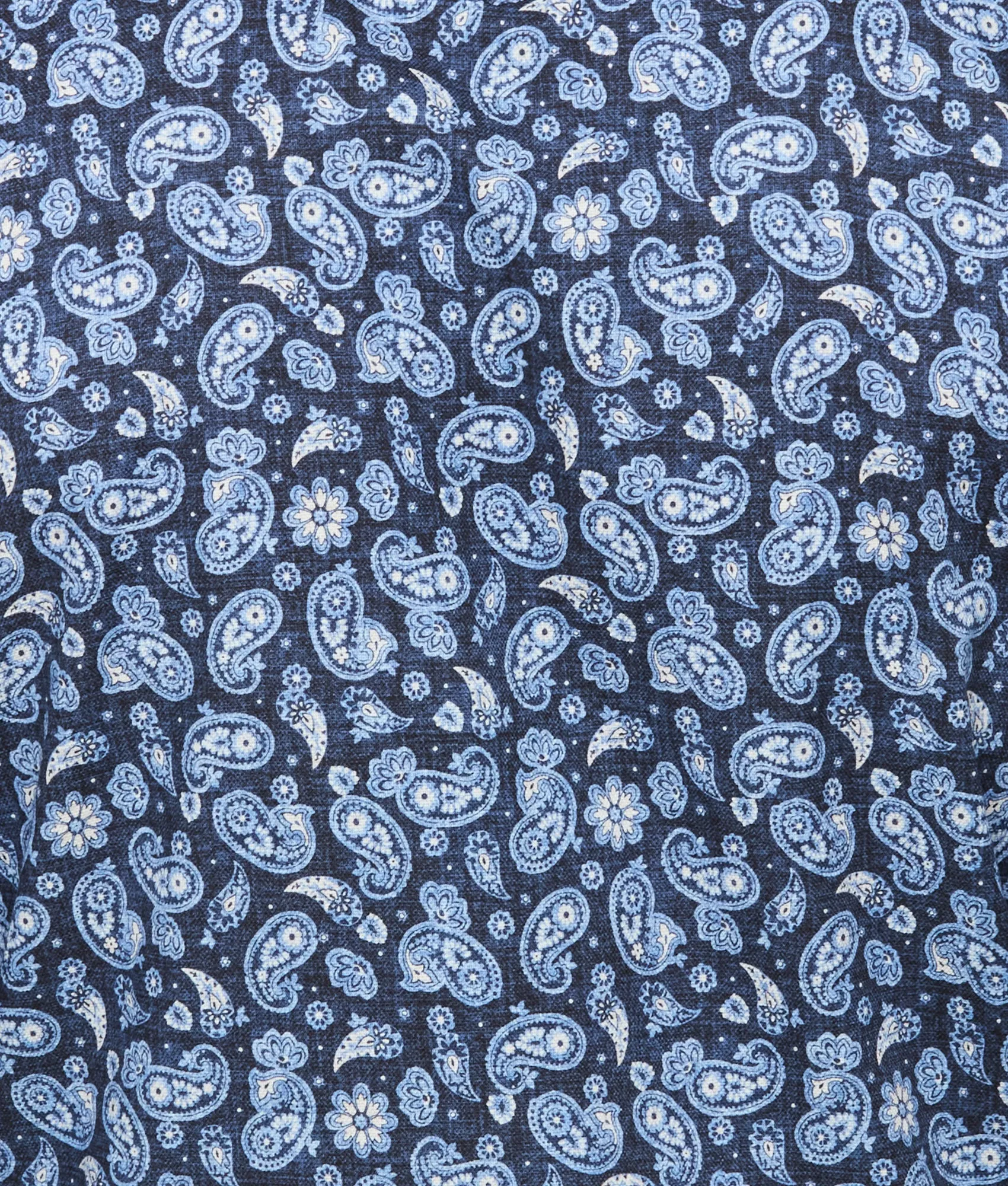 Telluride :: Blue/White Paisley